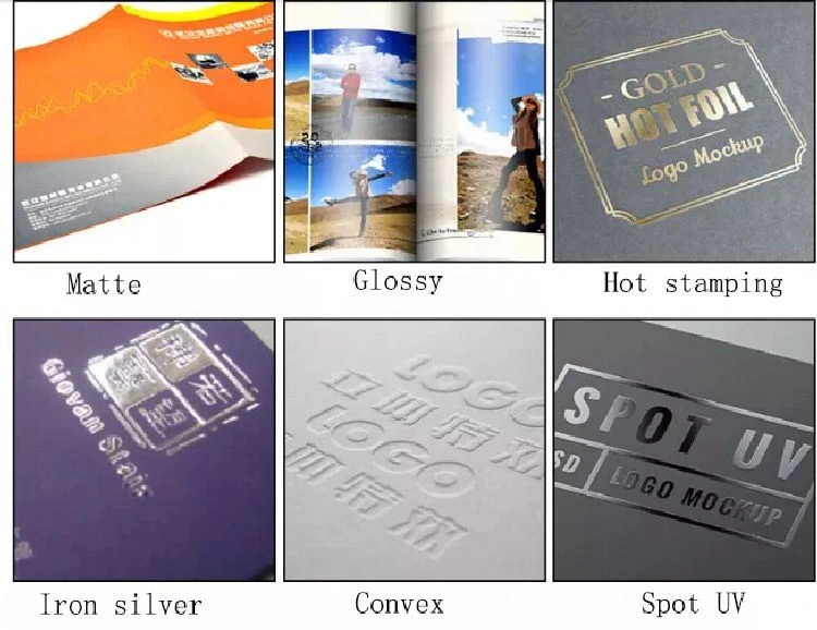 Custom made Folded Leaflet