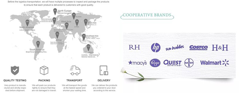 Our partner